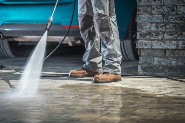 Boat and Dock Cleaning in Citrus Springs, FL